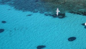 il Mare di Lampedusa