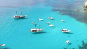 lampedusa tabaccara