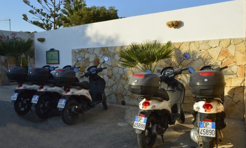 Noleggio Auto e Scooter Noleggio Auto e Scooter