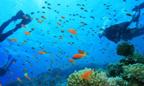Diving Center Diving Center